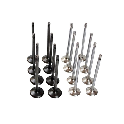 Chinese Auto Parts Lynk Co Engine mheV General Intake and Exhaust Valve Set Original