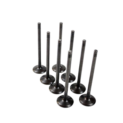 Chinese Auto Parts Lynk Co Engine mheV General Intake and Exhaust Valve Set Original